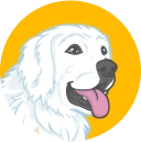 Blues air Dog